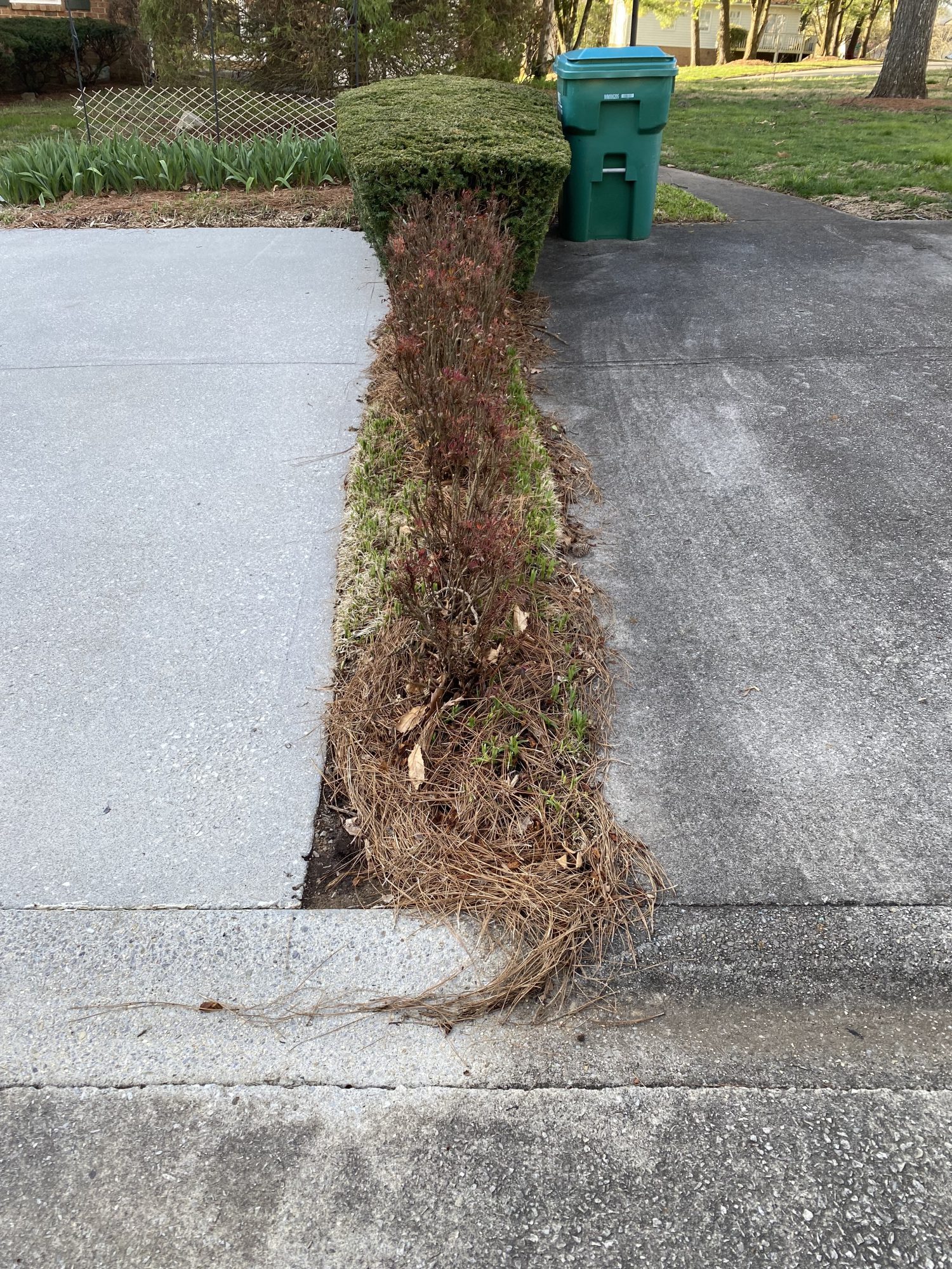 driveway cleaning results comparison